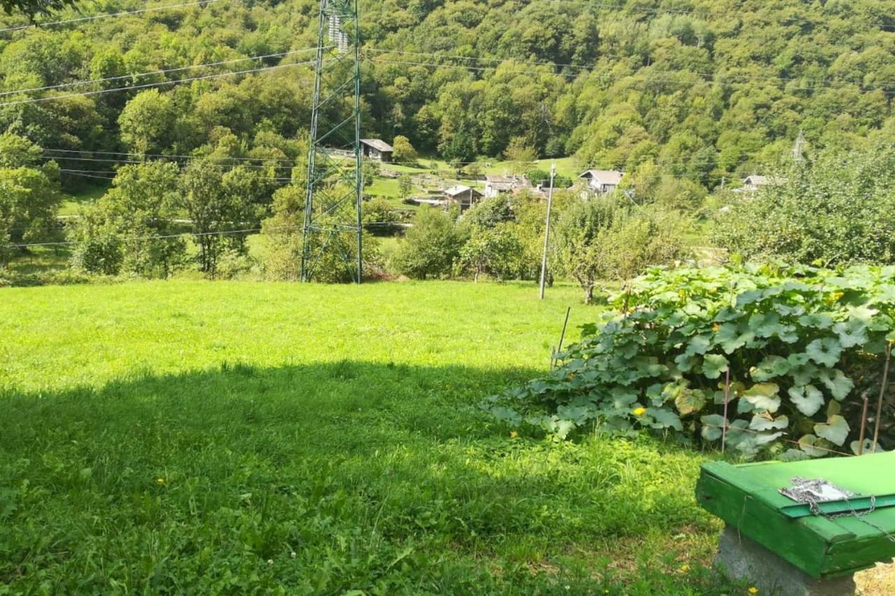 Locana Bilocale A Due Passi Dal Gran Paradiso מראה חיצוני תמונה